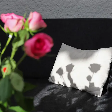 Regina D1 By Interhome * Arveyes