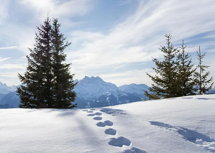 Regina D1 By Interhome Lejlighed Arveyes